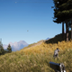 Image for article titled Far Cry 5 Players Hoped The Game Was Changing Seasons, But The Truth Is Different